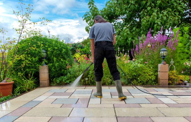 Best Gutter Cleaning  in Home Garden, CA